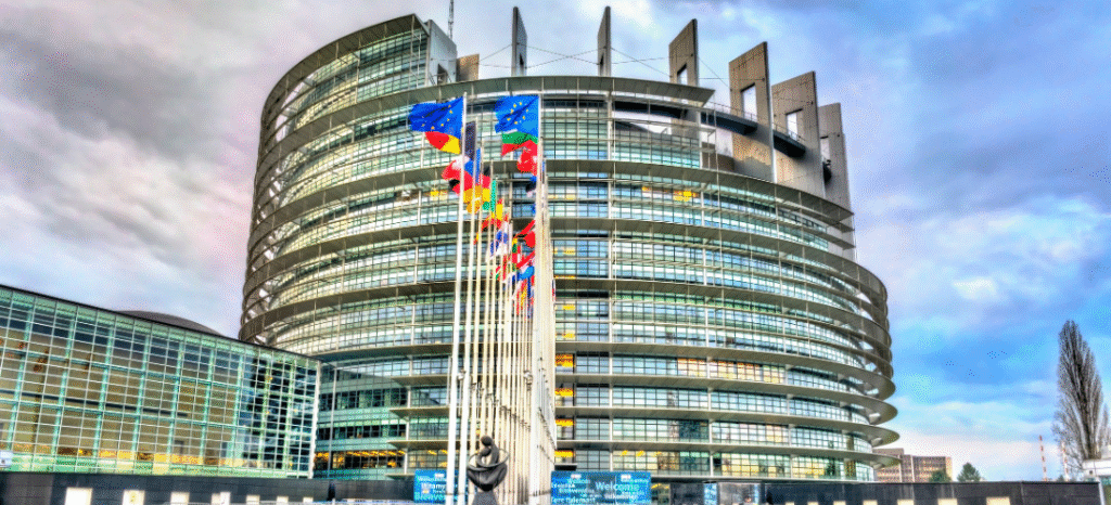 EU: Far-Right harass Muslim youth at European Parliament event 